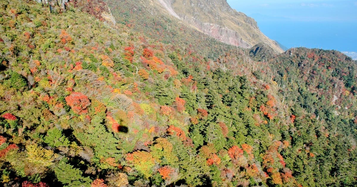 雲仙仁田峠の紅葉「事前予約」で絶景を！実証実験で快適な秋旅