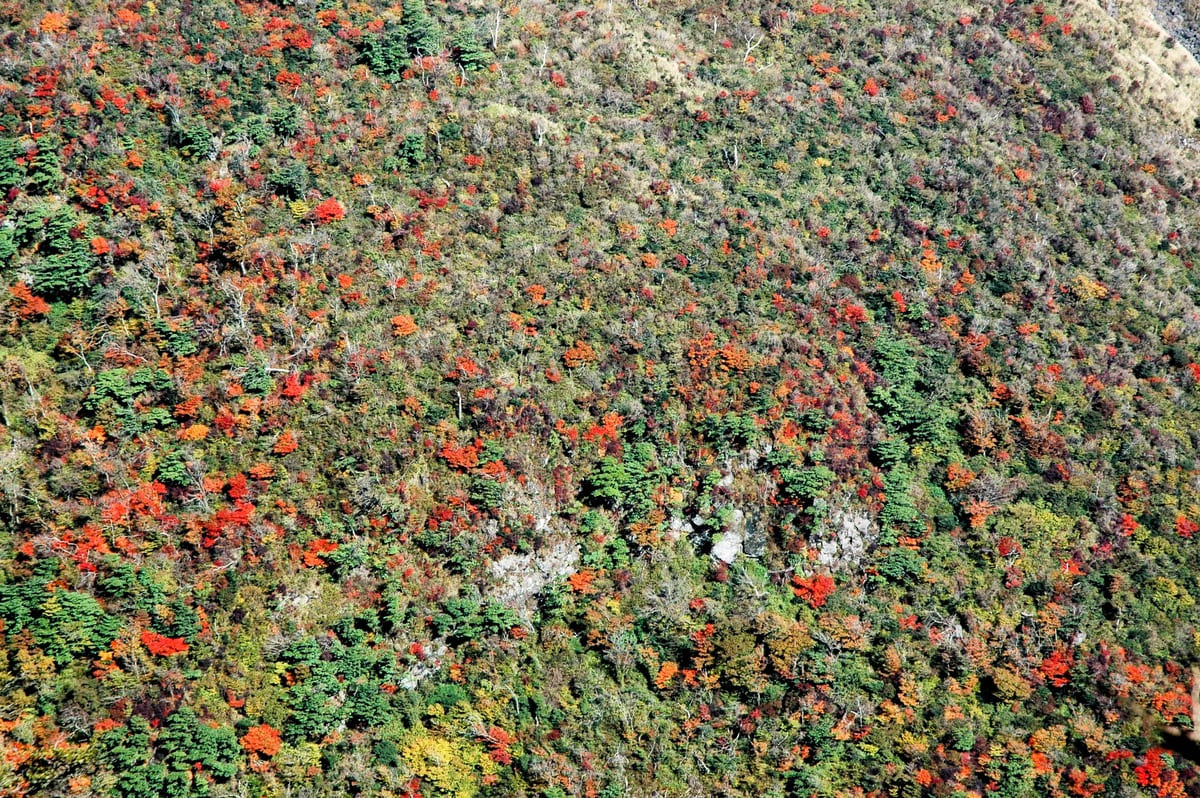 雲仙ロープウェイから見下ろした仁田峠の山肌