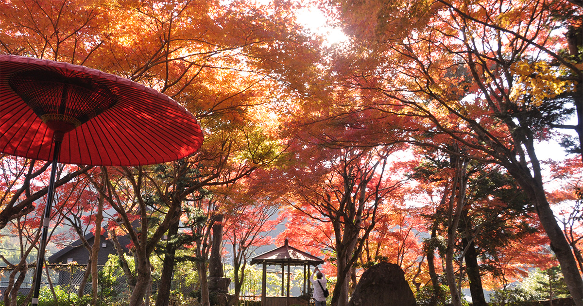 迎仙閣の紅葉【2023年】1年で2日間だけ一般開放される日本庭園！