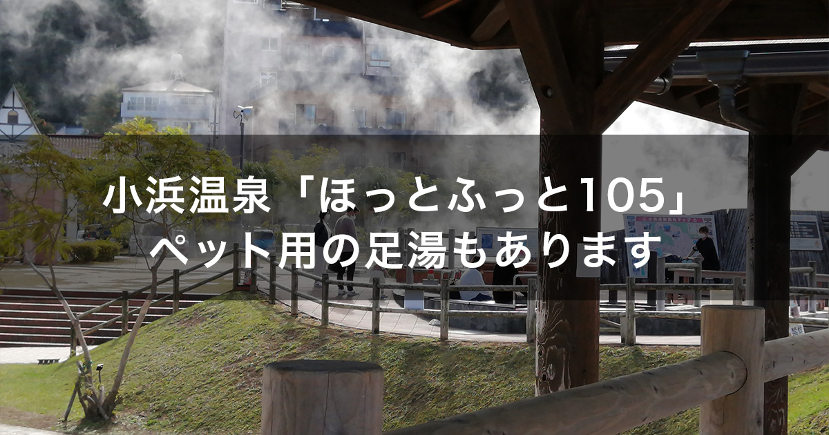 小浜温泉「ほっとふっと105」は日本一長い足湯