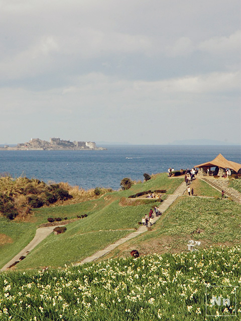 東側展望所からは水仙の花と水仙の丘と軍艦島（端島）が望める最高のフォトスポットです。