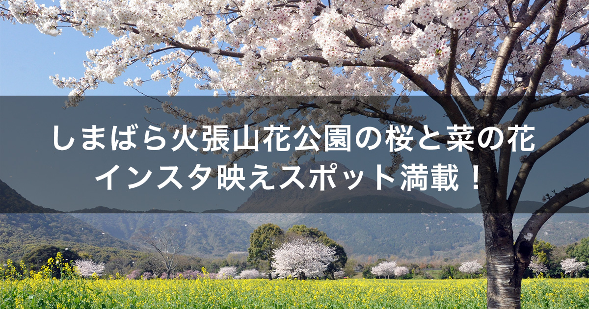 火張山花公園【2023年】インスタ映えな春の花まつり！桜の菜の花の開花状況についてご紹介！