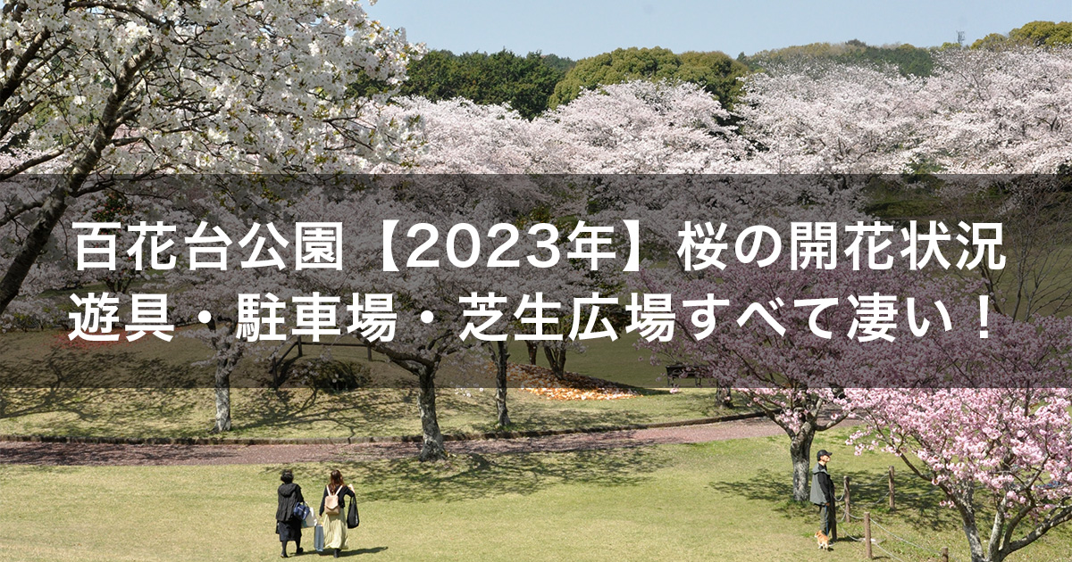 百花台公園【2023年】桜の開花状況は？