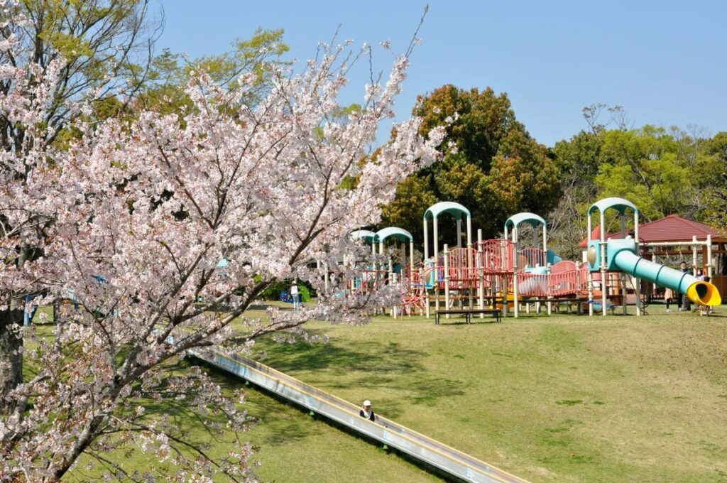 桜に囲まれた「ターザンの森」元気に遊ぶ子供たち