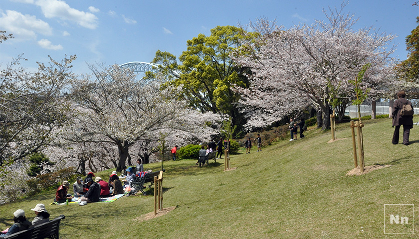 西海橋公園はお花見されている方でいっぱいです。
