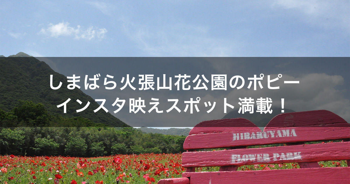 火張山花公園【2023】ポピーの開花状況と見頃についてご紹介！