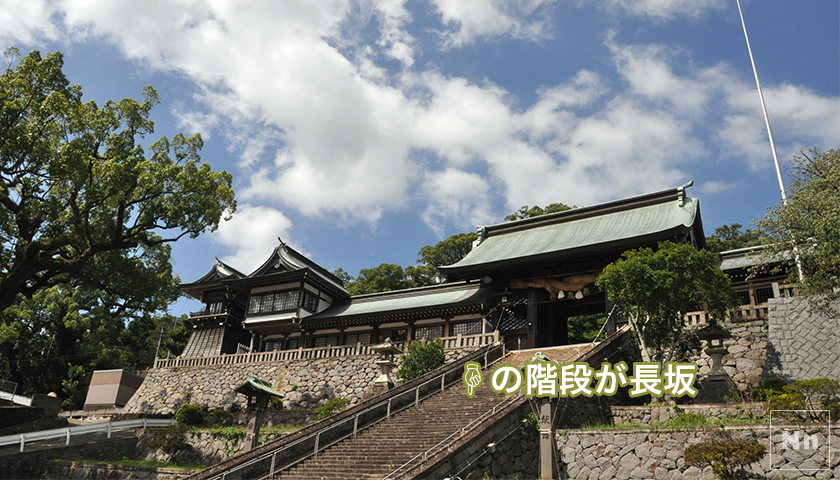 諏訪神社の長坂は特等席となっています。