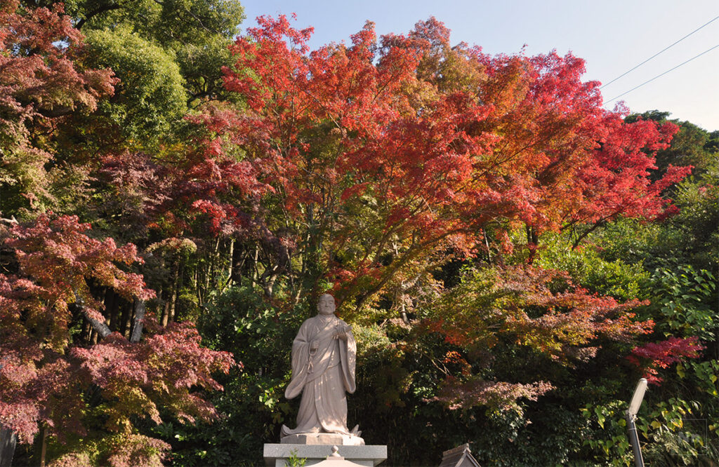日蓮聖人像と紅葉