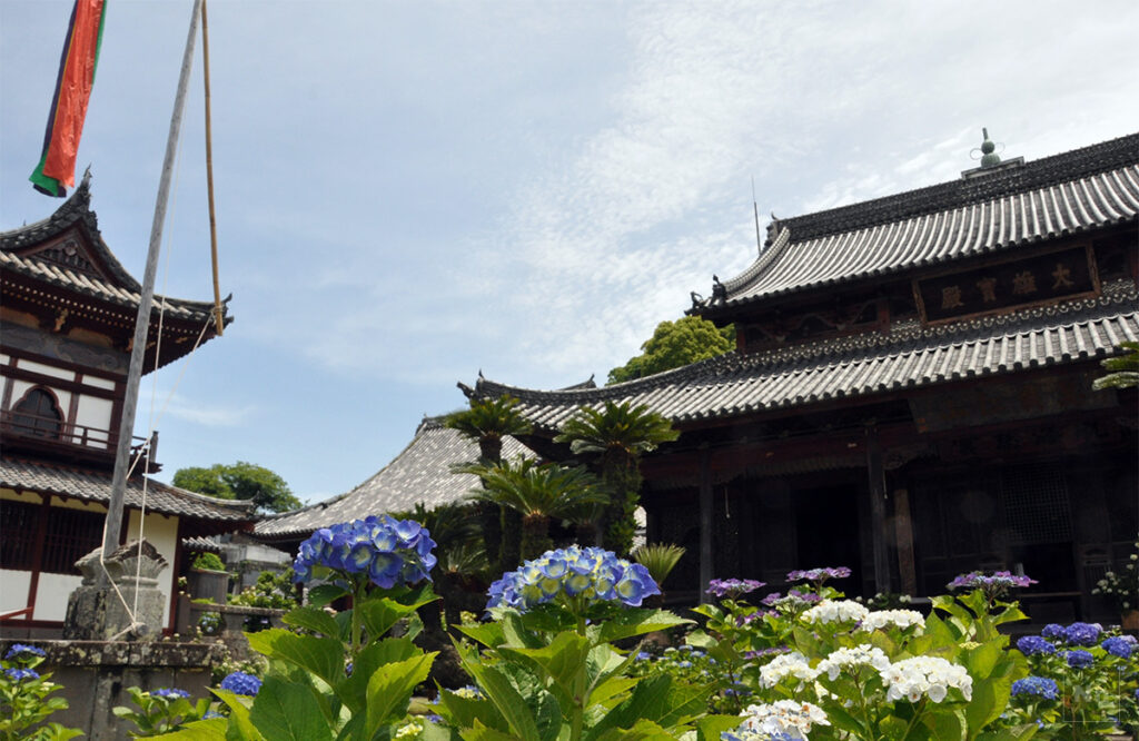 紫陽花で彩られる興福寺