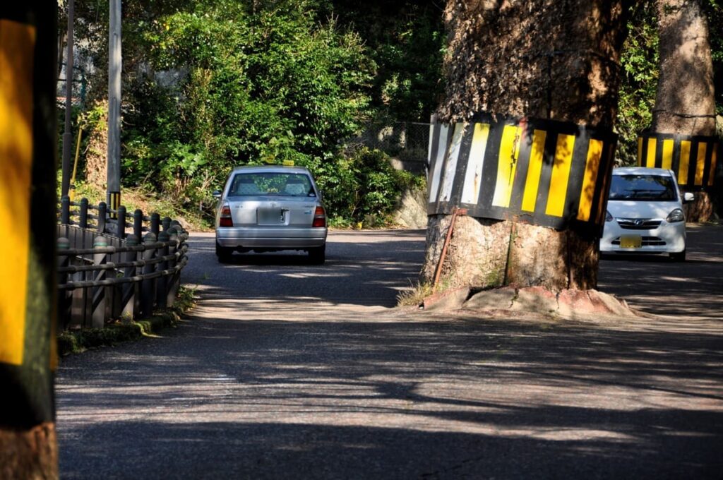 六角道の巨木ロード