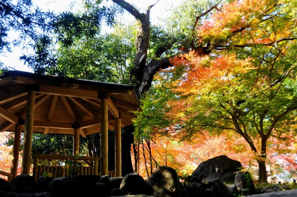 六角堂と色鮮やかな紅葉