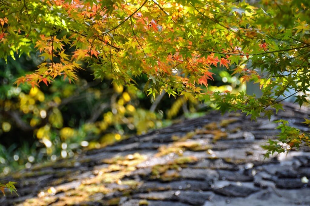 六角堂の回りは庭園の面影が残ります…