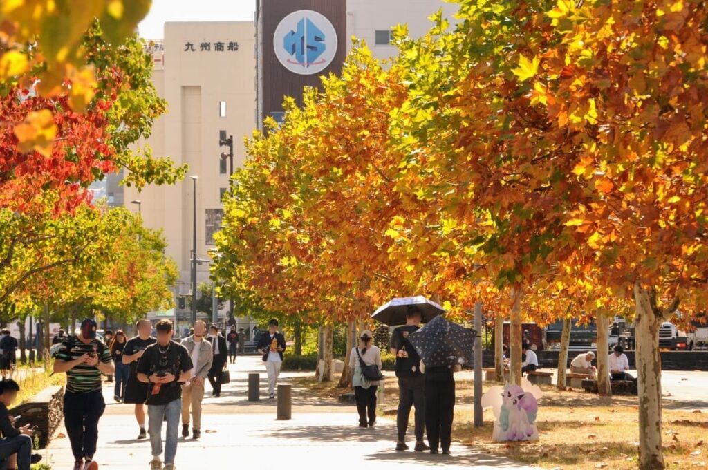 プラタナスの木も色付き秋景色になっています