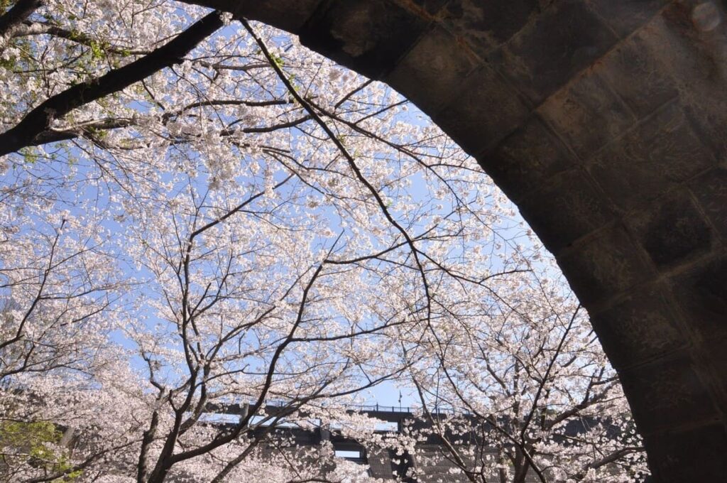 石門のアーチ越しに見上げる青空と桜