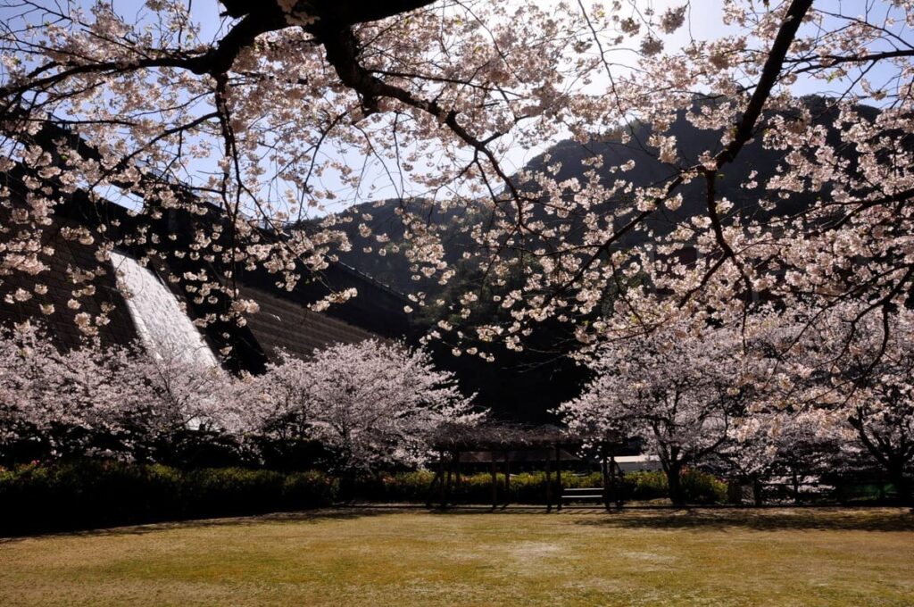 西山ダム下流公園の広場